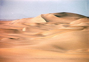 Ecosistema Desierto