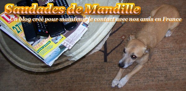 Saudades de Mandille