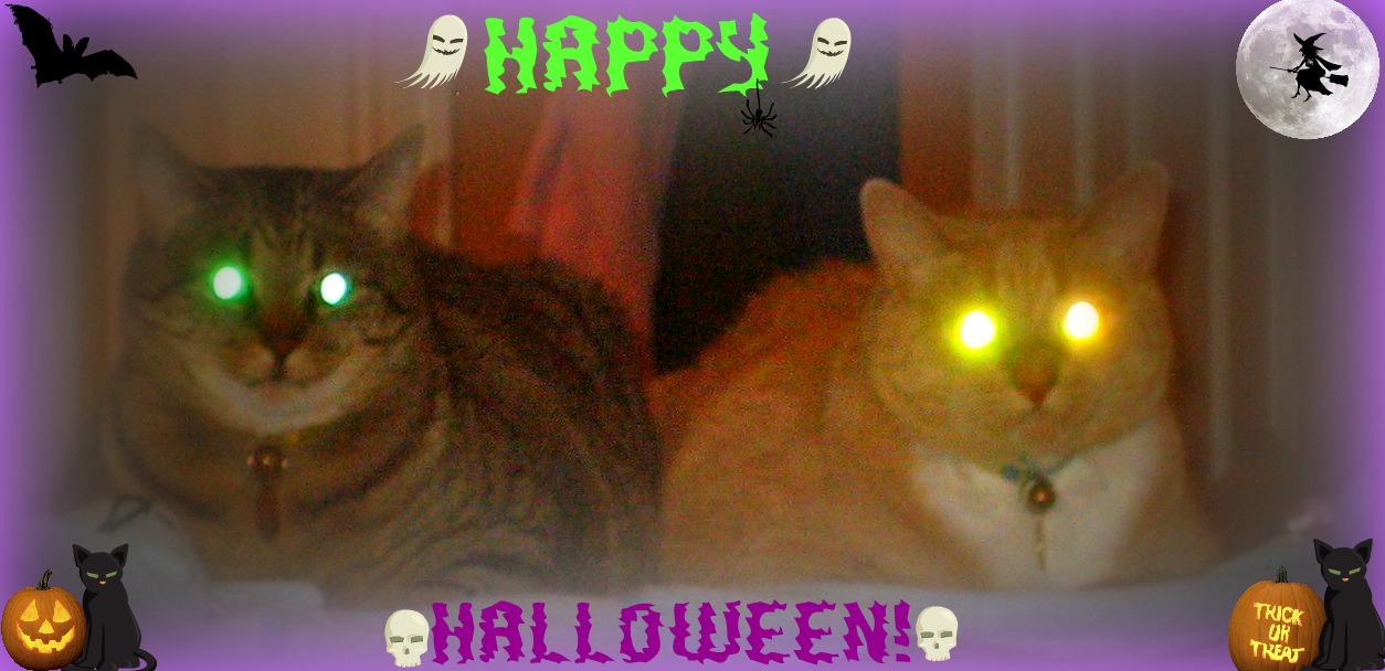 Ali�s Nail News October 2010