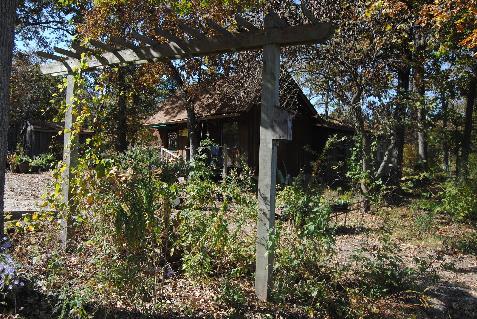 Here is some information from their web site