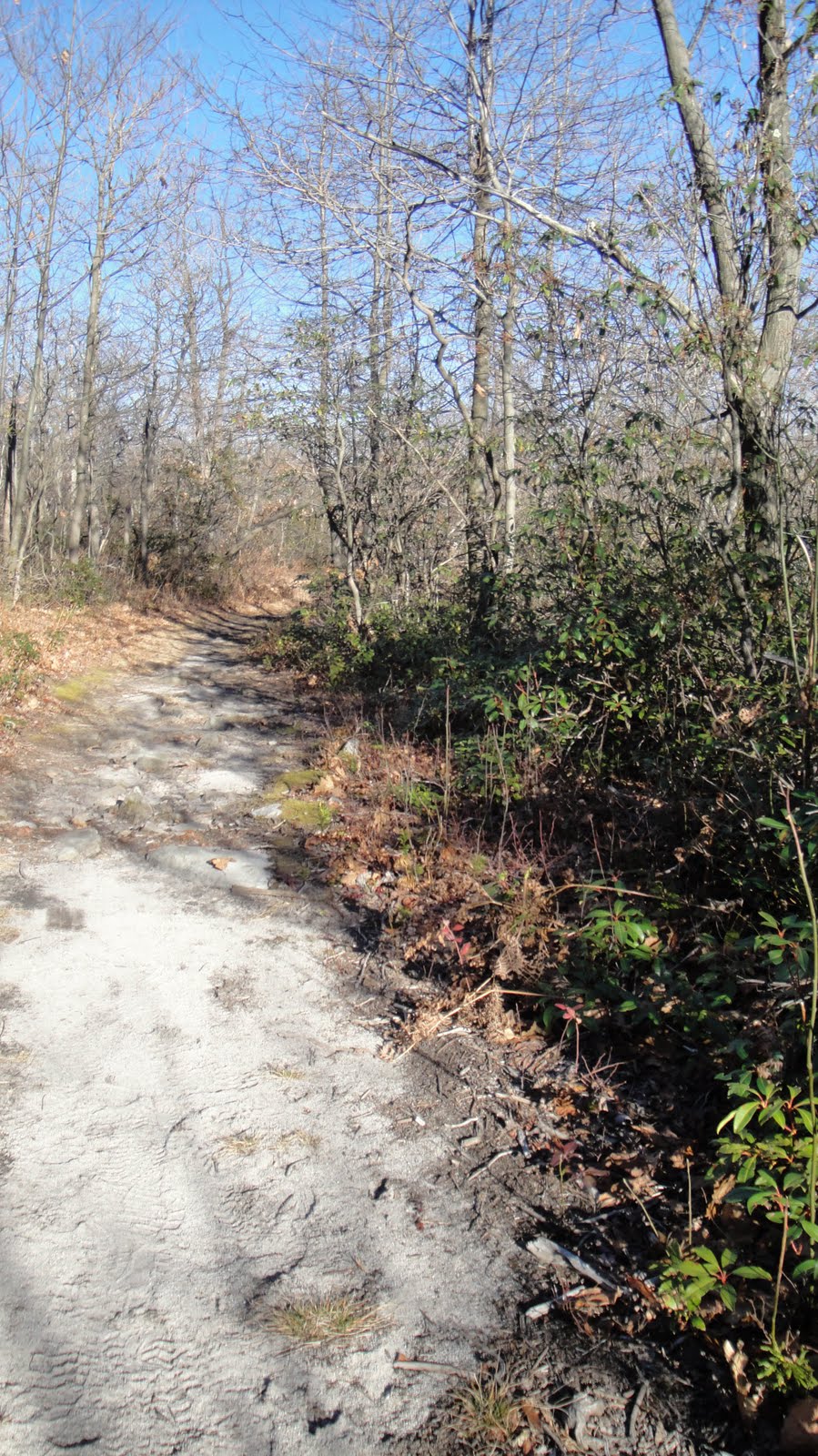 Outdoors Mount Davis, PA