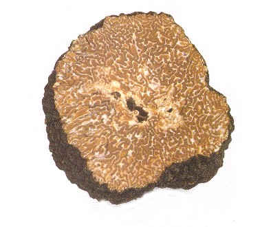 Truffles can add a punch of