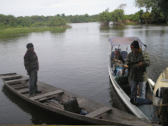 Rio Guaporé