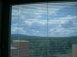 View from Ashley's room in Virginia