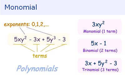 Degree Of Monomial