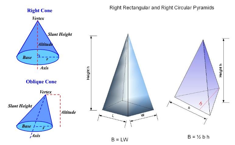 what is a radius | Choose Online Math Guide
