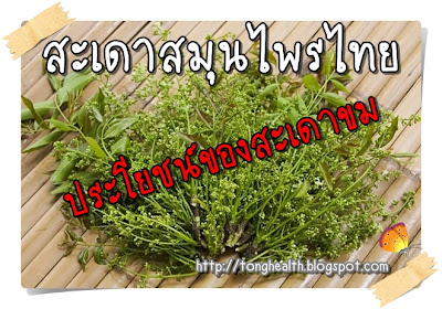 ประโยชน์ของสะเดาขม (Neem)