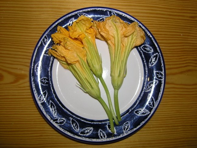 [P6270001.JPG]