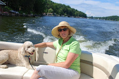 Boat Ride on Port Bay