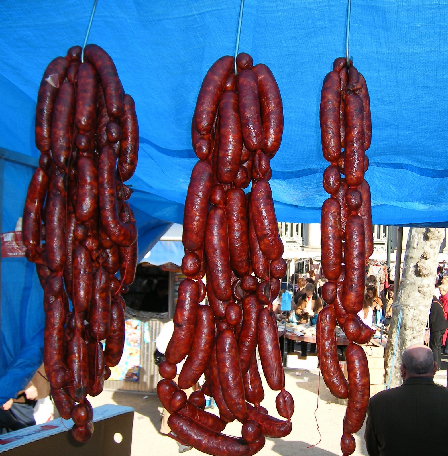 [DSCF0303.JPG]