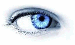 [eye.gif]