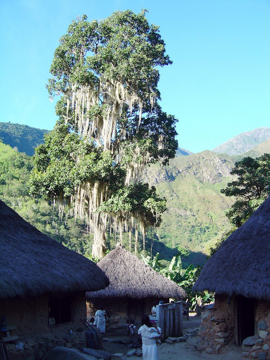 PATRIMONIO ANCESTRAL DE LATINOAMERICA