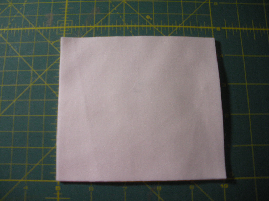 [DSCN0910.JPG]