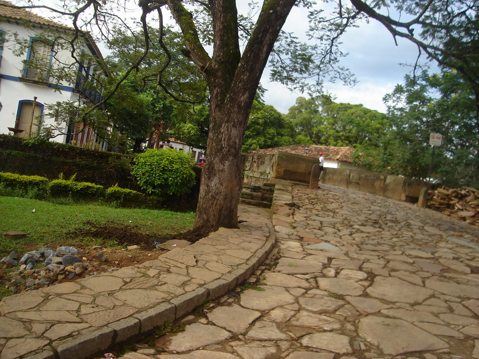 [DSC07663.JPG]