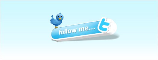 Twitter Bird Follow me button