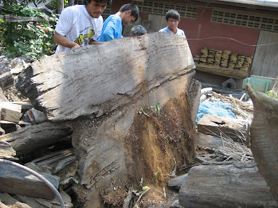 east indian walnut