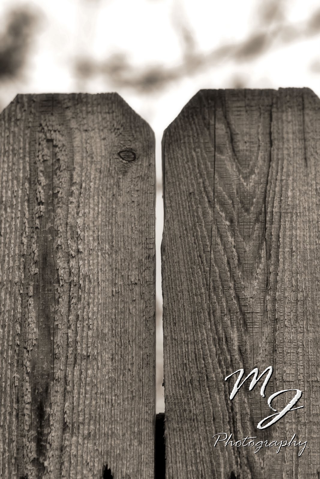 letter y photography