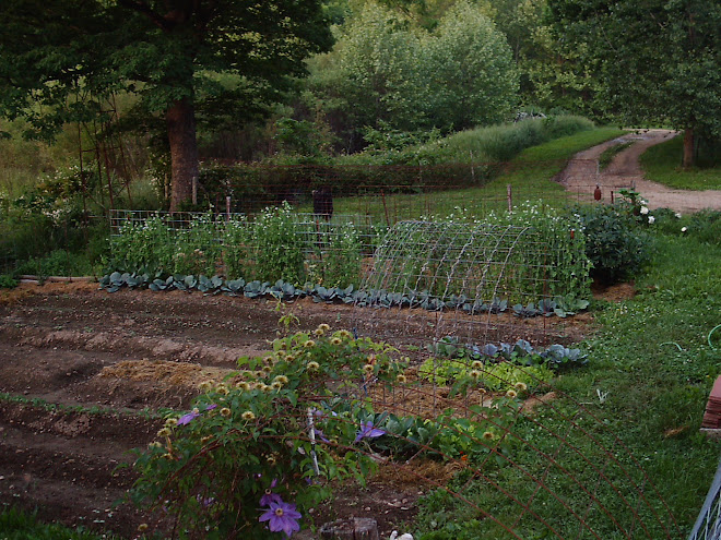 Missouri Garden early spring