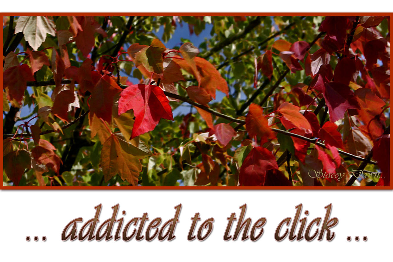 Addicted to The Click