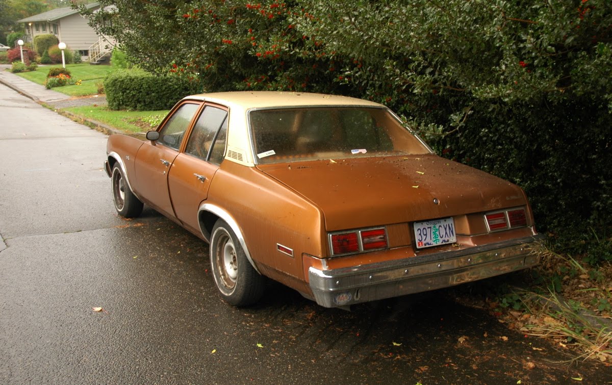 1979 nova car 1979 nova car