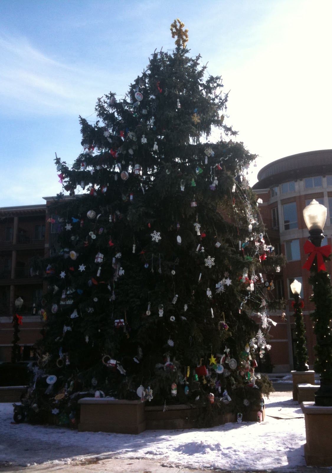 The Downers Grove Christmas Tree is Rubbish Daily Downers