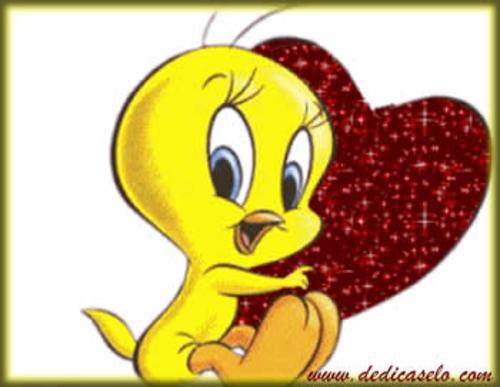 Cosas que te van a gustar: Fotos de Piolín enamorado