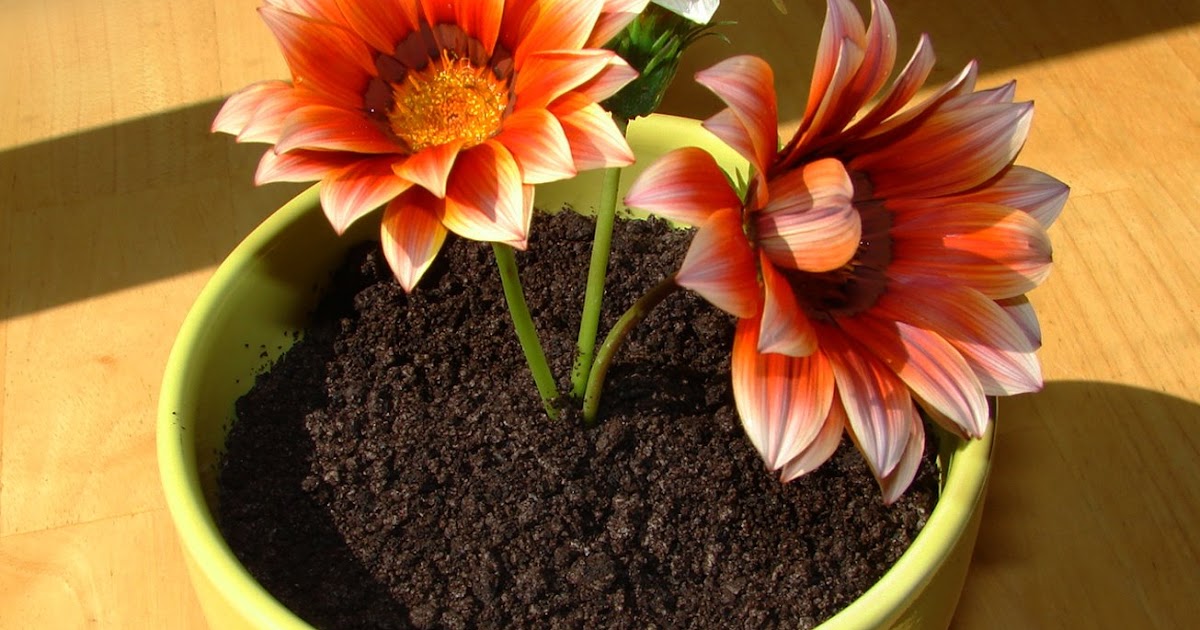 Food Wishes Video Recipes &quot;Potted Plant&quot; Ice Cream Cake