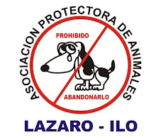 Asociación Protectora de Animales Lazaro Ilo