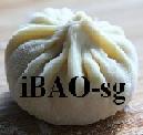 iBAO-sg