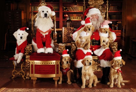 the search for santa paws 2010 online