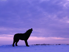 Spirit: Lesser Wolf