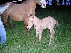 Goldie and Honey