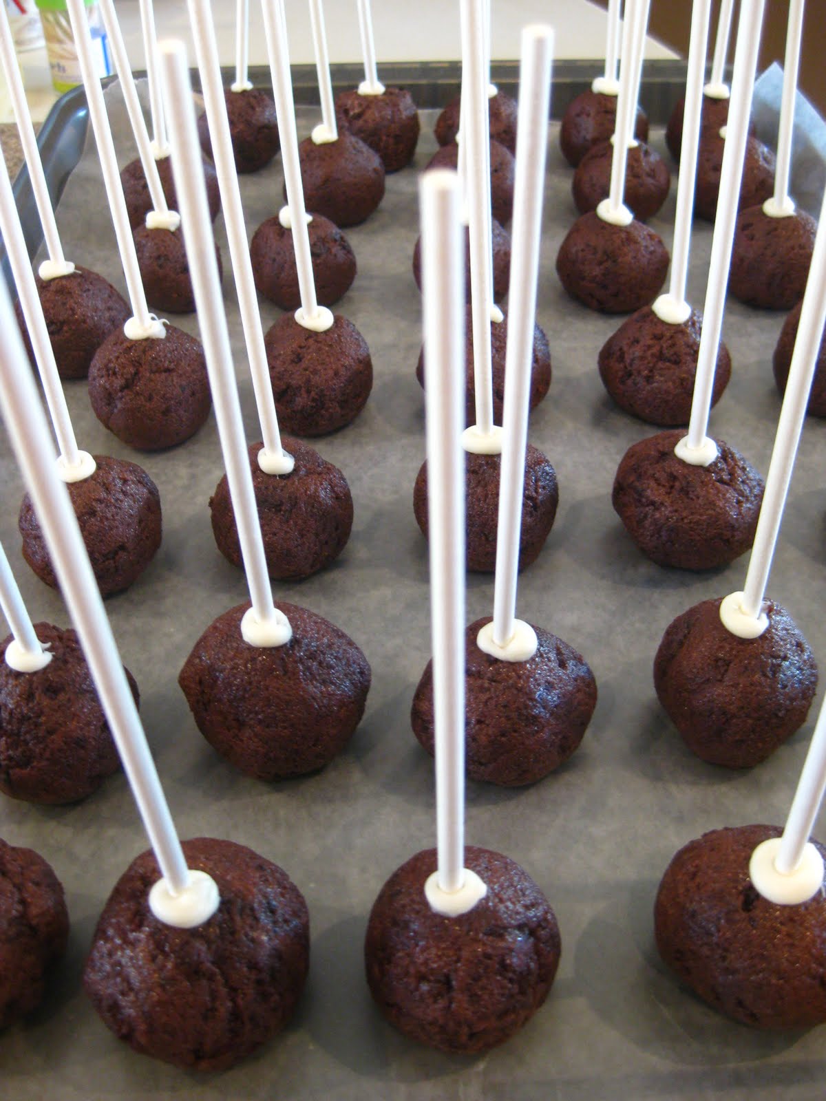 ROXIECAKES Vancouver September 2010