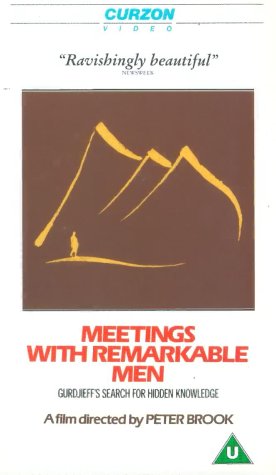 Meetings with Remarkable Men movie