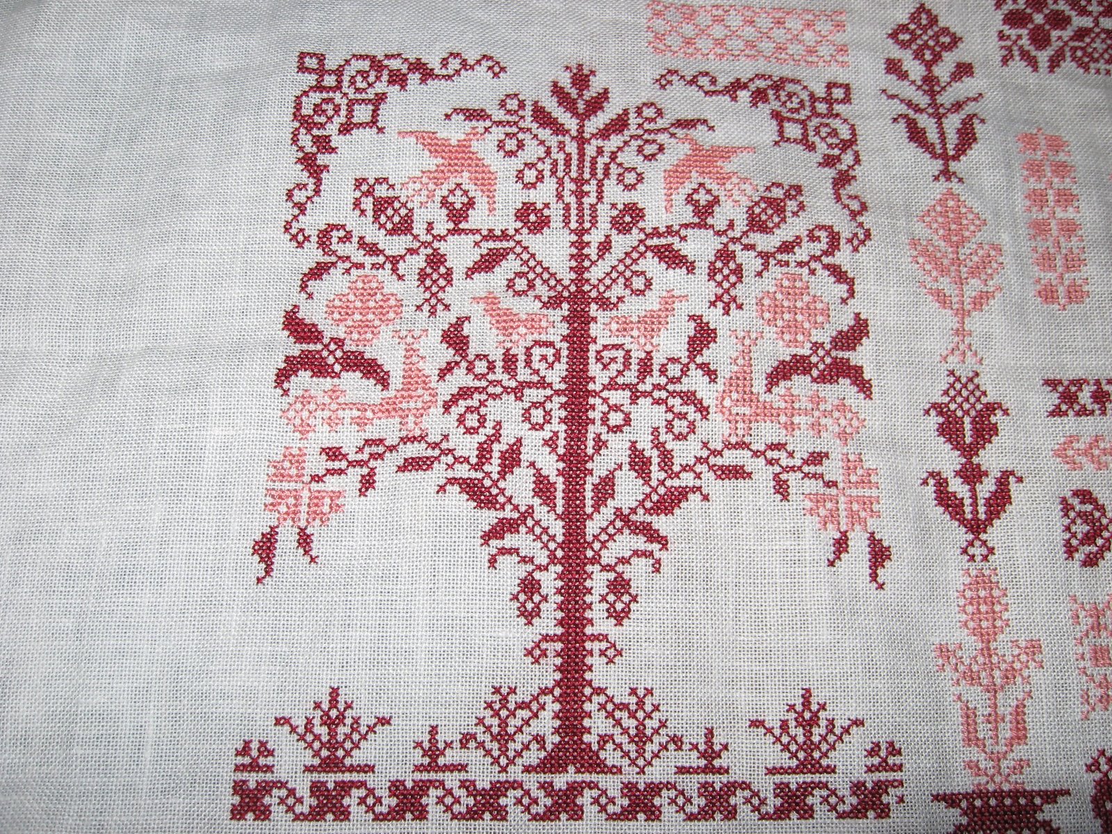 [Tree+1-28-2008.JPG]