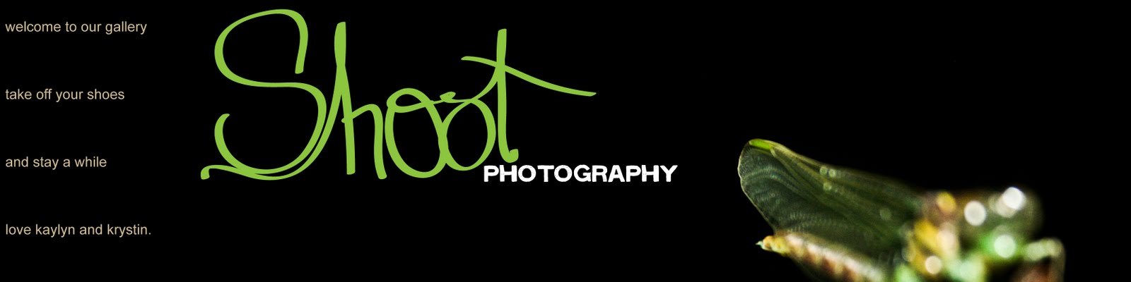 Shoot Photography