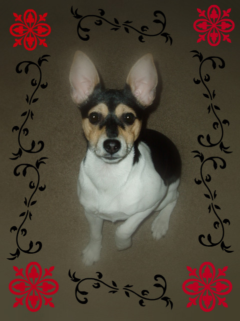 [Molly+]