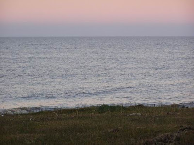 BANCO DE TIERRAS ARGENTINAS: PROVINCIA DE BUENOSAIRES -- PUNTA INDIO