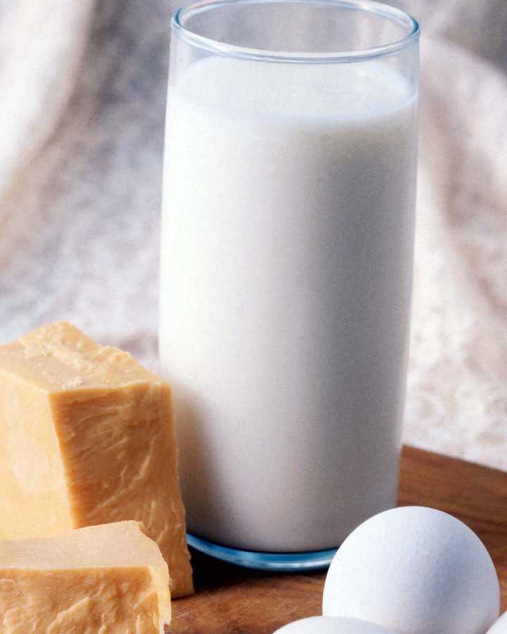 [lait+et+fromage.jpg]
