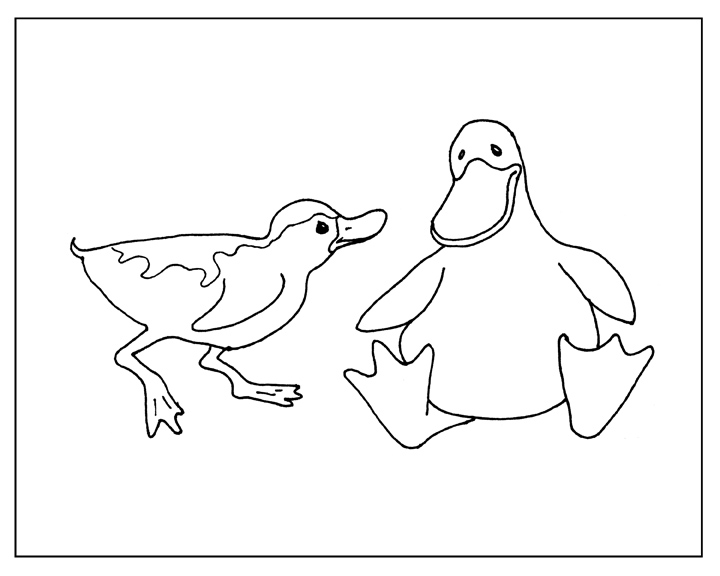 [Ducky-and-Duckling.jpg]