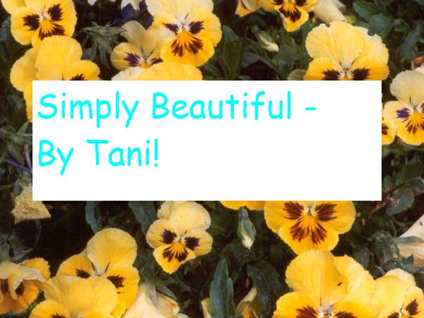 Simply Beautiful- by Tani.