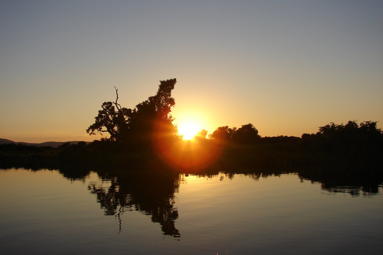 [DSC01433.JPG]