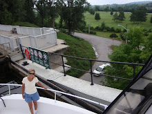 aerial view of "golf course"