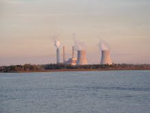 Crystal River nuclear power plant