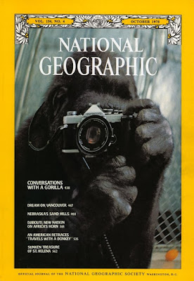 national geographic cover gorilla with camera