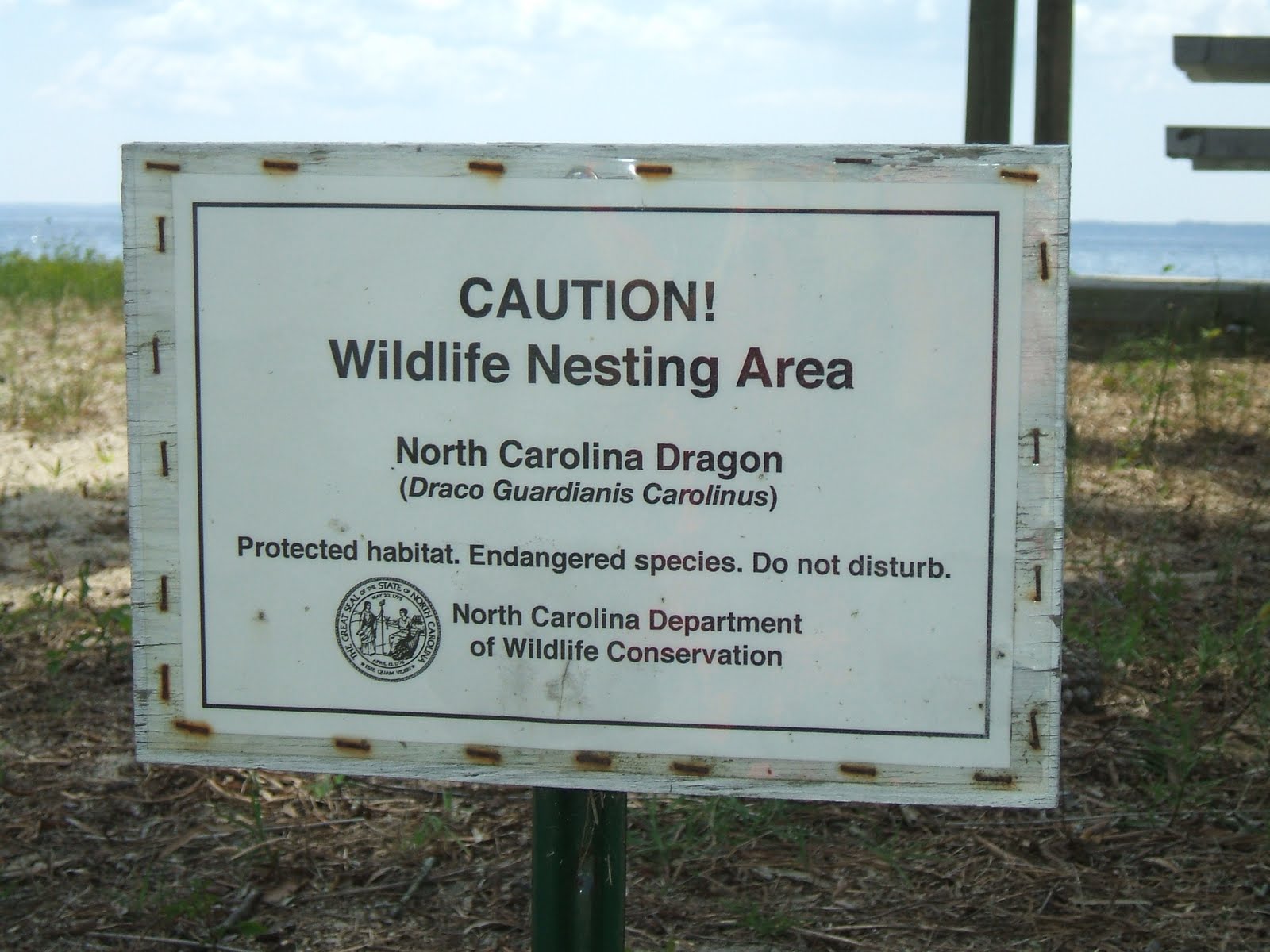 Crystal Coast and Neuse River Regions of North Carolina Oriental NC's got DRAGONS