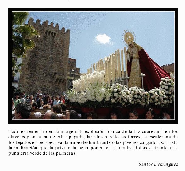 [DOLOROSA.bmp]