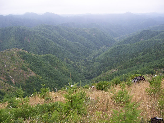 Die Oregon coast range (mein Untersuchungsgebiet)