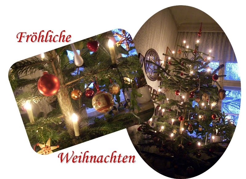 Tu Felix Austria Das Blumen