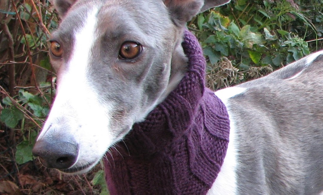 Greyhounds Knitting Patterns for Charity